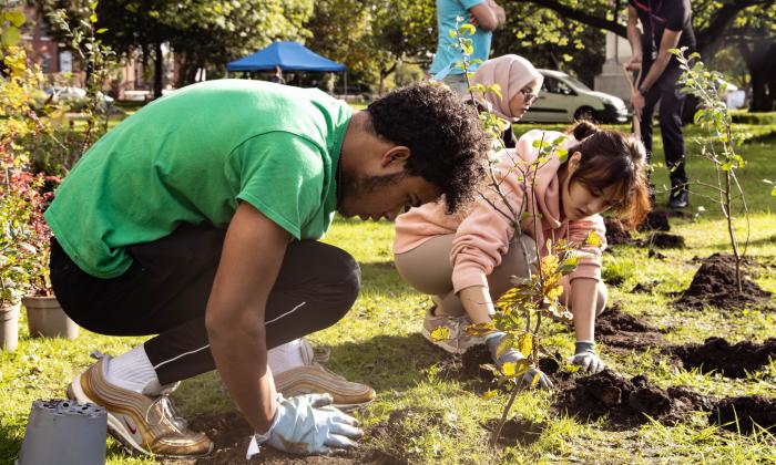 Two people plant trees to create green space in the Ardwick area of Manchester