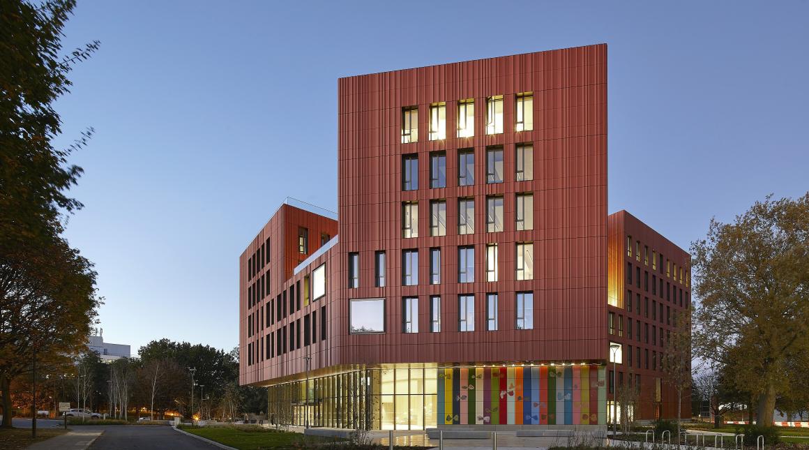 Warwick faculty of arts