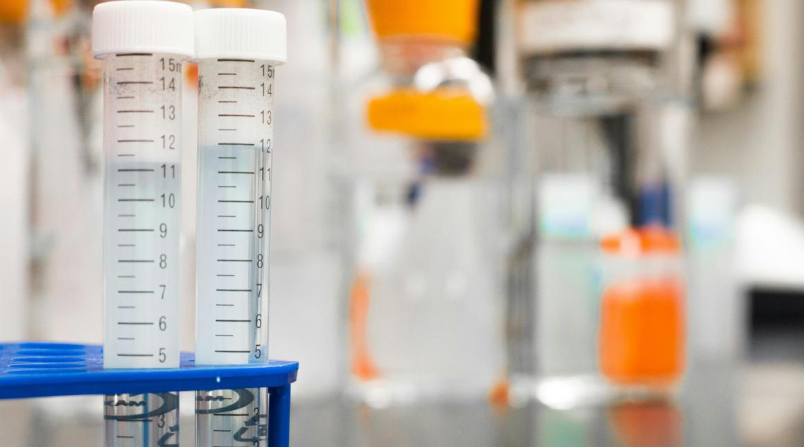 Test tubes in lab