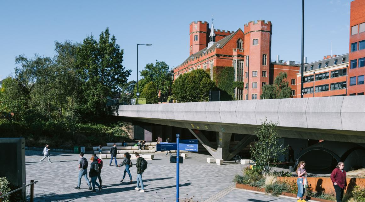 Sheffield University